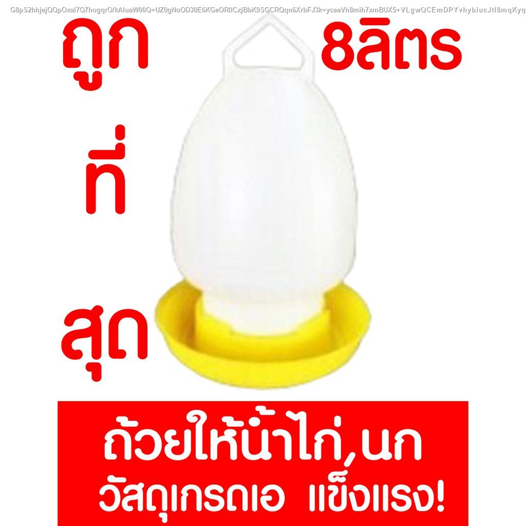 ค่าส่งถูก-ขวดน้ำไก่-ถังน้ำไก่-ที่ใส่น้ำสำหรับเลี้ยงไก่-กระติกน้ำไก่-เลี้ยงไก่-ขวดน้ำนก-เลี้ยงนก-1l-4l-8l-เหลือง