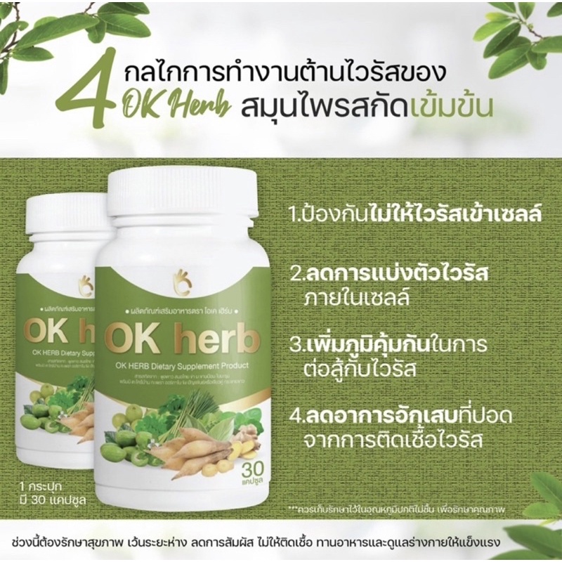 ภาพสินค้าโล๊ะล้างสต๊อกปี 65 วันที่ผลิต 2/8/2021 หมดอายุ 2/8/2023 OK Herb (โอเค เฮิร์บ) กระชายขาว สารสกัด 12 ชนิด แท้ 100% จากร้าน popromshop บน Shopee ภาพที่ 5