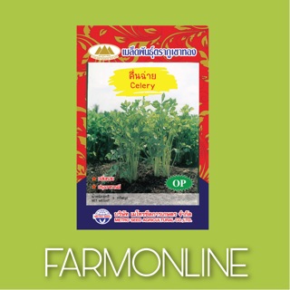 คื่นฉ่าย บรรจุ 2 กรัม ซื้อ 10แถม1