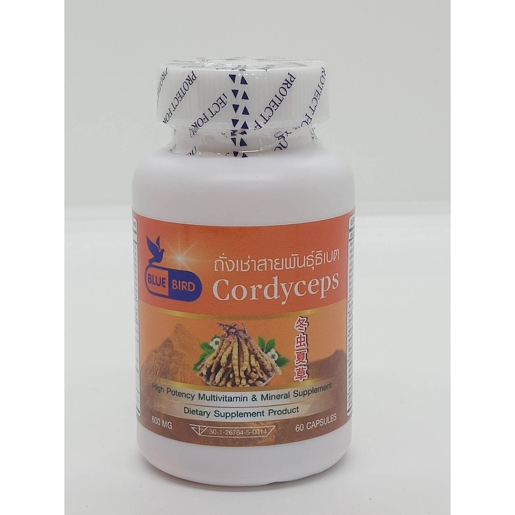 ถั่งเช่า-ตังถั่งเช่าสายพันธุ์ธิเบต-cordyceps-ตรา-บลูเบิร์ด-ขนาด-600-มิลลิกรัม-30-และ-60-แคปซูล