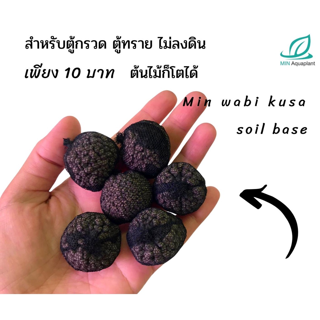 ภาพสินค้าMin wabi kusa soil base ลูกดินวาบิ สำหรับมัดกับต้นไม้ จากร้าน minaquaplant บน Shopee ภาพที่ 2