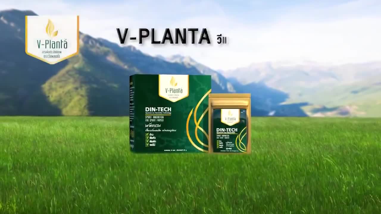 วีแพลนต้า-ส่งฟรี-v-planta-ปุ๋ยน้ำ-ปุ๋ยเร่งดอก-ปุ๋ยน้ำทางใบ-เพิ่มผลผลิต-ลดต้นทุน-ปุ๋ยน้ำเร่งราก