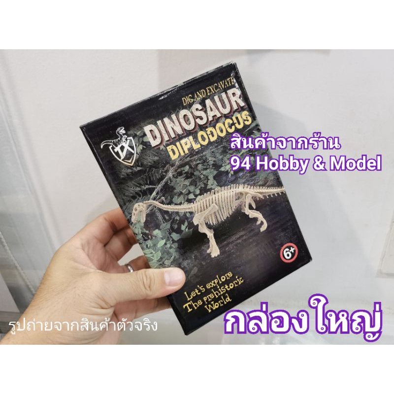 ฟอสซิล-ซากไดโนเสาร์-นักสำรวจ-ฟอสซิลจำลอง-ไดโนเสาร์