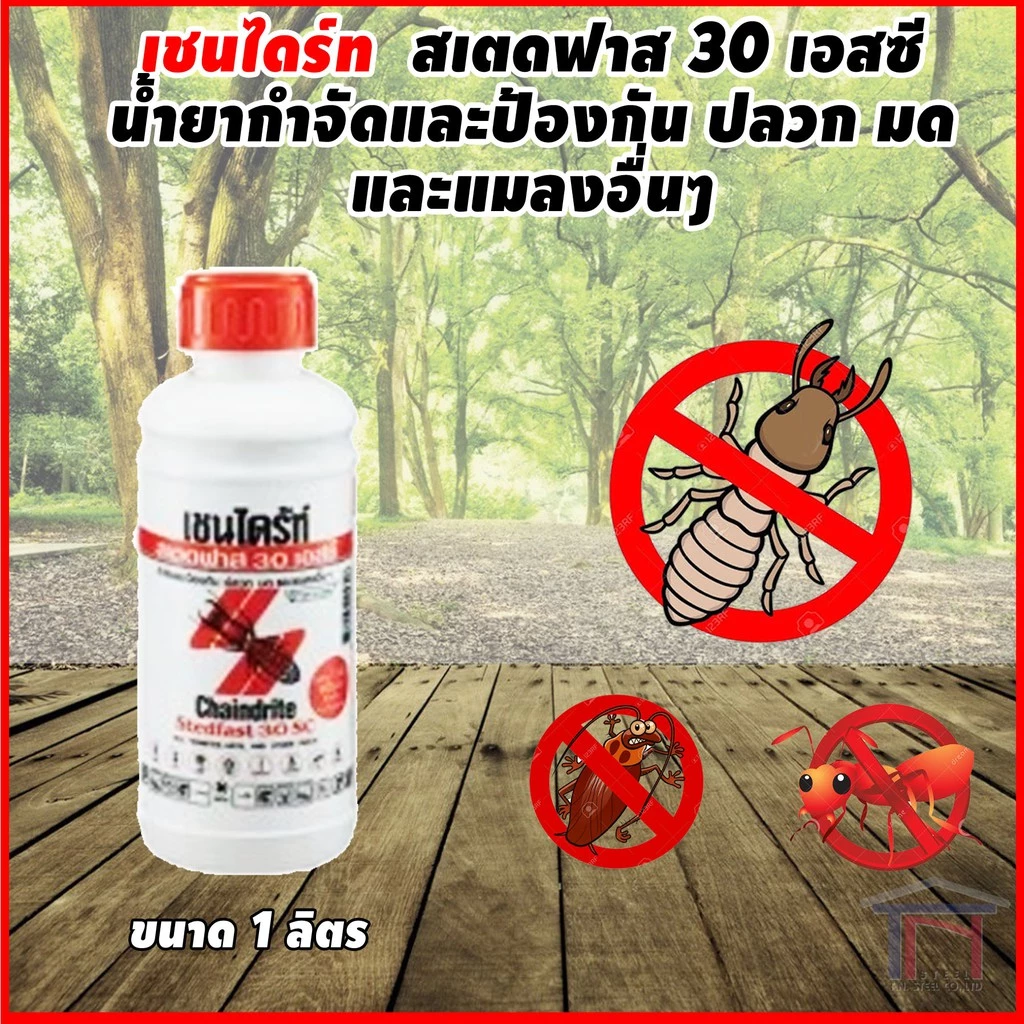 เชนไดร้ท์ สเตดฟาส 30 เอสซี