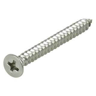 TF TAPPING SCREW FITT 4X40MM 6EA สกรูเกลียวปล่อย TF 4X40 MM FITT 6 ตัว สกรู, น๊อตและแหวน อุปกรณ์ยึดติด เครื่องมือช่างและ