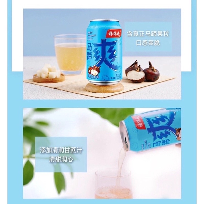 น้ำแห้ว-ทรงกระเทียม-น้ำแห้วจีน-water-chestnut-drink-300ml-กระป๋อง