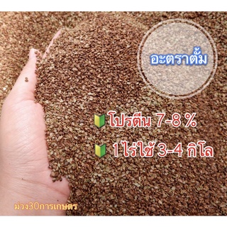 ✅ อะตราตั้ม เมล็ดหญ้าอะตราตั้ม 1 กิโลกรัม #พร้อมปลูก(รับประกันการงอก) หญ้าเลี้ยงสัตว์ หญ้า พันธ์ุหญ้า หญ้าเลี้ยงวัว ควาย