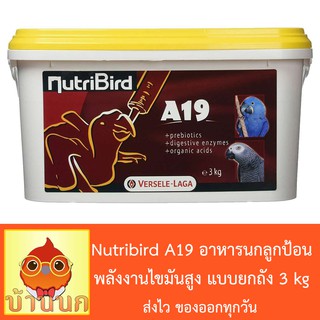 Nutribird A19 อาหารนกลูกป้อน สำหรับลูกนกที่ต้องการพลังงานไขมันสูง 3 Kg.