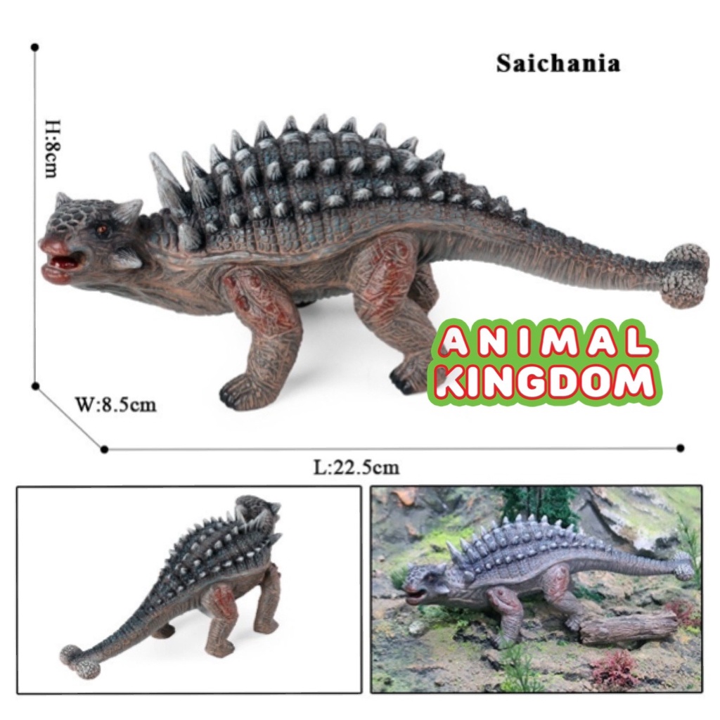 animal-kingdom-โมเดลไดโนเสาร์-arkylosaurus-ขนาด-22-50-cm-จากหาดใหญ่