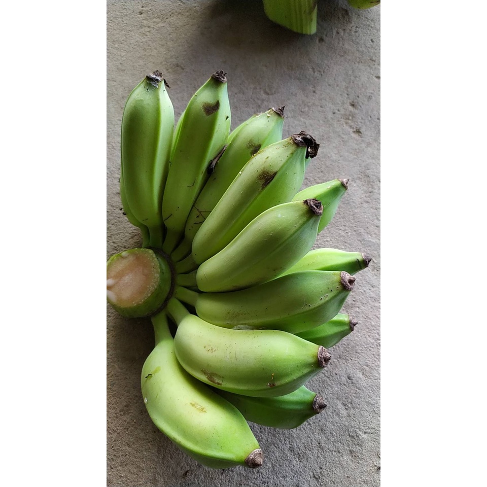 กล้วยน้ำหว้า-สำหรับรับประทาน-ราคาหวีละ-39-บาท-กล้วยสดจากสวน-ที่บ้านที่เชียงราย-ไม่มีสารพิษ-ปลูกแบบธรรมชาติ-อร่อย