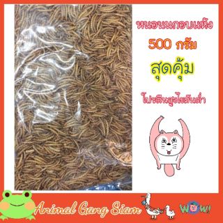 สินค้า หนอนนกอบเเห้ง 500 กรัม โปรตีนสูงไขมันต่ำ สำหรับสัตว์เลี้ยง