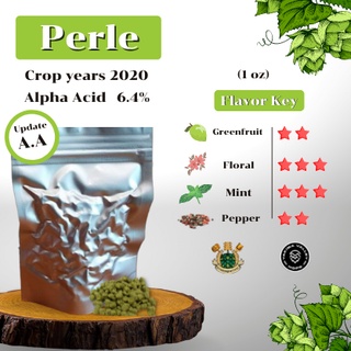 ภาพหน้าปกสินค้าPerle Hops (1oz) Crop years 2020 (บรรจุด้วยระบบสูญญากาศ) ที่เกี่ยวข้อง