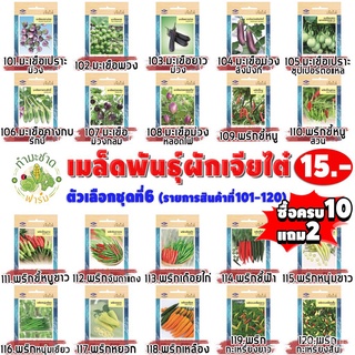 เมล็ด ขายดี/เจียไต๋#6 [10แถม2 เลือกของแถมได้] เมล็ดพันธุ์ผักสวนครัว เจียไต๋15฿ ชุดที่6 เม็ดผั/เมล็ด ผัก ปลูก สวนครัว คละ