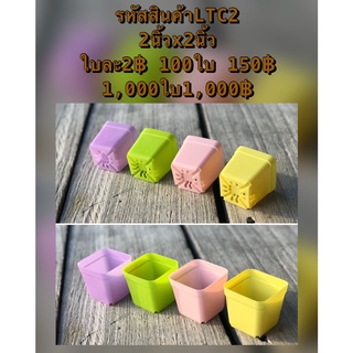 LTC2 กระถางต้นไม้แคคตัส มีให้เลือก 4 สี แบบสีพลาสเทล ขนาด 2 x 2 นิ้ว 1000 ใบ