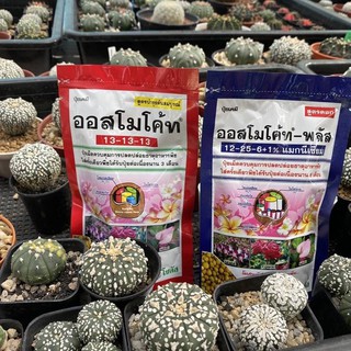 สินค้า ปุ๋ยออสโมโค้ท ออสโมโค้ทพลัส สูตรบำรุงต้น สูตรเร่งดอก100 กรัม แบ่งขาย ราคาถูก พร้อมส่งจ้า ปุ๋ยละลายช้า ปุ๋ยแคคตัส