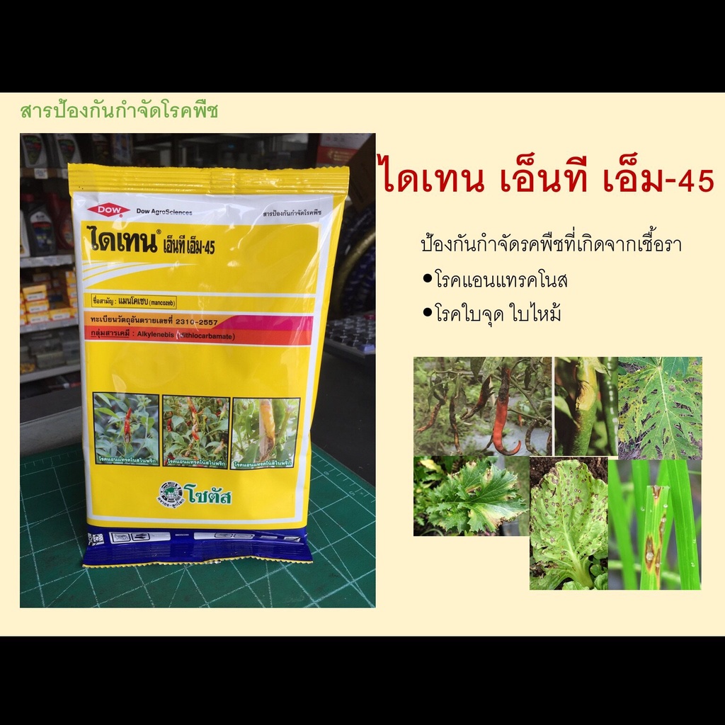 500กรัม-ไดเทน-เอ็นที-เอ็ม-45-แมนโคเซบ-โซตัส-กำจัดโรคพืช-โรคแอนแทรคโนสในพริก-ป้องกันเชื้อรา-โรคใบจุด-ใบไหม้