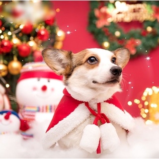 AL-271 เสื้อคริสต์มาส สุนัข หมา แมว เสื้อคลุมกำมะหยี่สัตว์เลี้ยง ซานตาคลอส เสื้อคลุมหมวกคริสต์มาส 🔥 พร้อมส่ง 🔥
