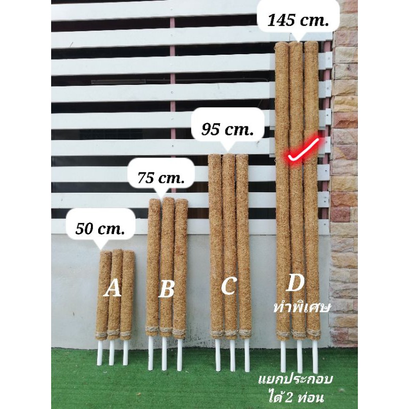 ขายดีเสาไม้เลื้อย-ยาว-145-cm-d-แยกใช้งานได้-2-ท่อน