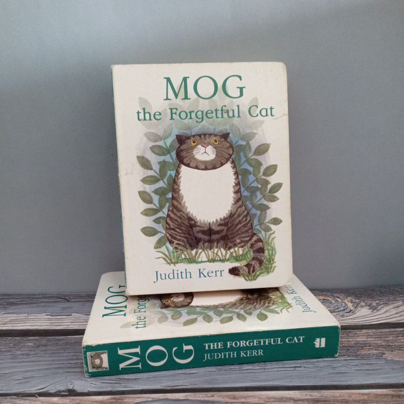 mog-the-forgetful-cat-boardbook-มือสอง