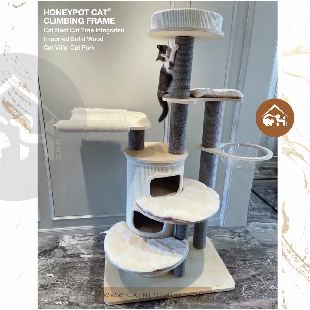 ของแท้-พร้อมส่ง-honeypot-cat-luxury-condo-คอนโดสุดหรูสำหรับสัตว์เลี้ยง