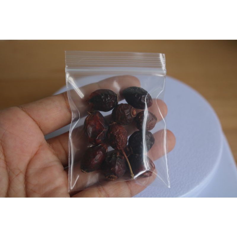 ถูกที่สุด-เมล็ดสำหรับเพาะ-rosehip-โรสฮิป-10เมล็ด-50บาทนำเข้าจากประเทศตุรกี-ของแท้100-ระวังของลอกเลียนแบบ