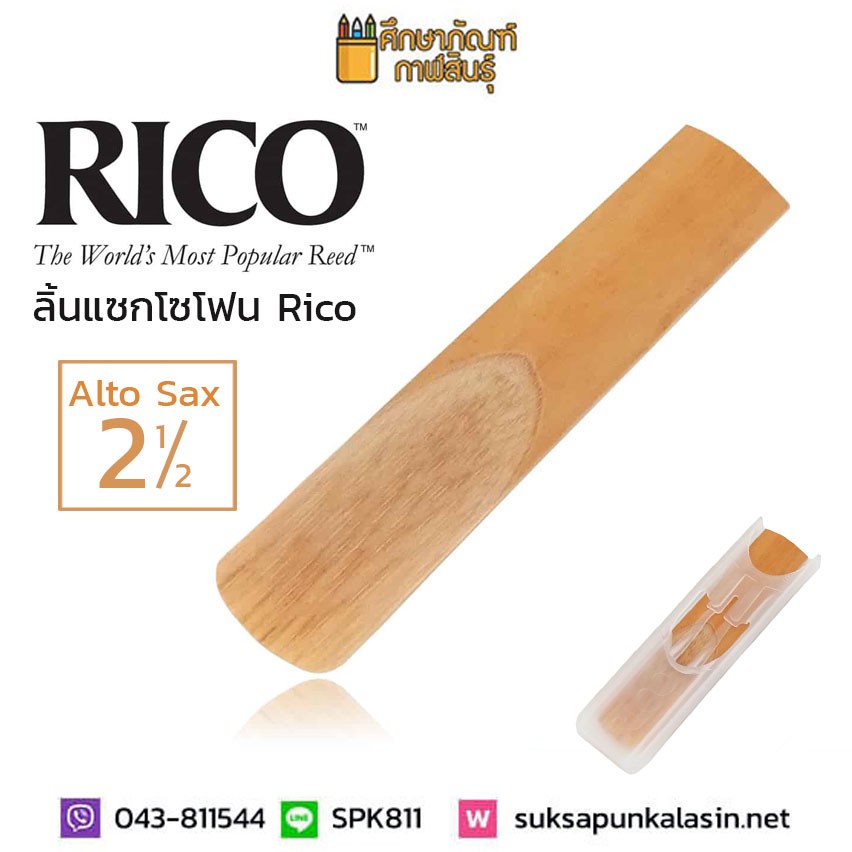 rico-ลิ้นแซกโซโฟน-อัลโต้-เบอร์-2-1-2-ลิ้นอัลโต้-เบอร์-2-5-ลิ้นแซ็ก-เบอร์-2-ครึ่ง-2-1-2-alto-sax-reed-ลิ้นแซก-2-1-2