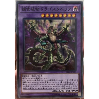 [DP22-JP053] Predaplant Dragostapelia (Common)