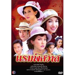 แรมพิศวาส-แผ่น-dvd-ดีวีดี