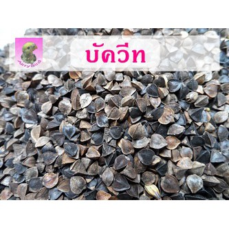 บัควีท-ธัญพืช-สำหรับนก-และ-สัตว์เลี้ยง