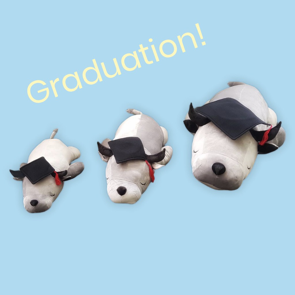 ภาพสินค้าหมวกรับปริญญาตุ๊กตา Doll (Graduation Hat) มี 3 ไซส์ จากร้าน cutiesqueezie บน Shopee ภาพที่ 6