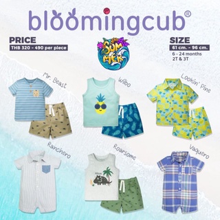 Bloomingcub ชุดเซ็ตเสื้อกางเกงเด็กผู้ชาย คอลเลคชั่น Summer ชุดเสื้อกางเกงขาสั้น ชุดเด็กชาย เสื้อกล้ามเด็กชายกางเกงขาสั้น