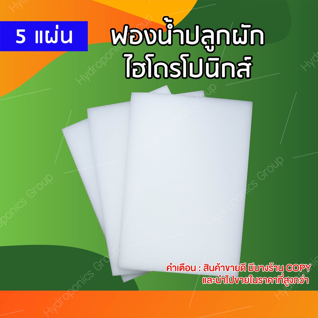 My Image 38
