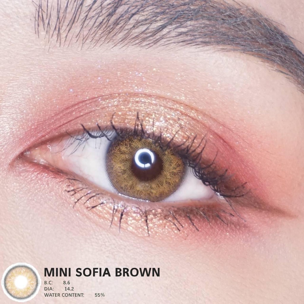 ค่าสายตา-5-50-ถึง-10-00-kitty-kawaii-mini-sofia-gray-brown