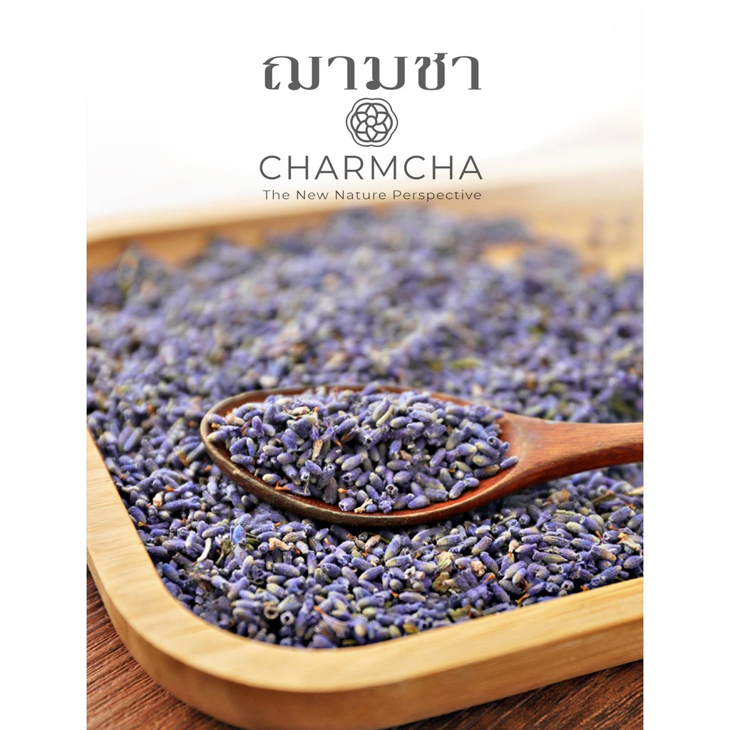 ชาดอกลาเวนเดอร์-lavender-flowertea-คลายความตึงเครียดและทำให้หลับสบาย-ชาดอกไม้-charmcha-ฌามชา