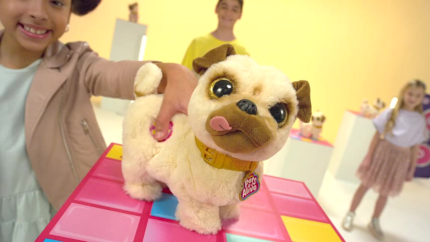 pets-alive-poppy-the-booty-shakin-pug-interactive-dancing-plush-puppy-by-zuru-pets-alive-poppy-the-booty-shakin-pug-ลูกสุนัขเต้นรํา-แบบโต้ตอบ-โดย-zuru