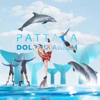 ภาพหน้าปกสินค้าE-Tickets Pattaya Dolphinarium โลมาโชว์พัทยา ที่เกี่ยวข้อง