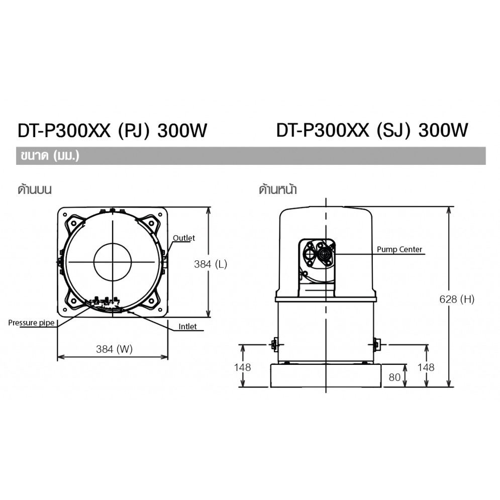 ปั๊มน้ำฮิตาชิแบบดูดน้ำลึก/น้ำบาดาล รุ่น DT-P300XX (PJ) (แบบเจ๊ทคู่ ...