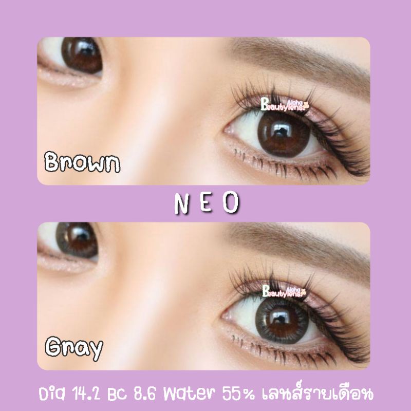 neo-brown-gray-สายตา-00-1000-รายเดือน