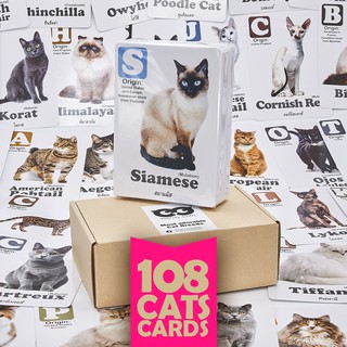 แฟลชการ์ด บัตรคำ การ์ดคำศัพท์ Flash Cards [พันธุ์แมว Most adorable CAT Breeds] 108 ใบ ของเล่นเสริมพัฒนาการ