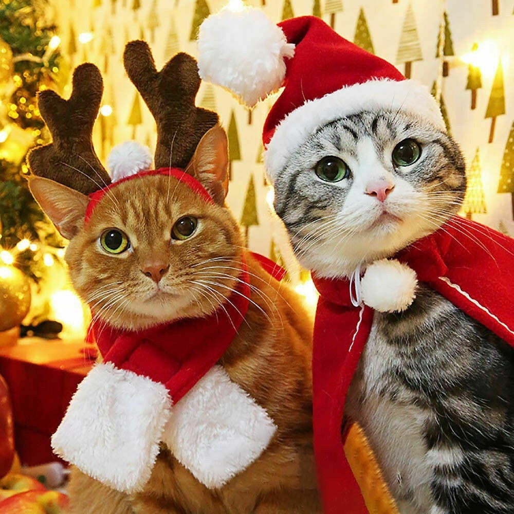 หมวกกวางน่ารัก-เครื่องแต่งกายคริสต์มาส-สําหรับสัตว์เลี้ยง-สุนัข-แมว