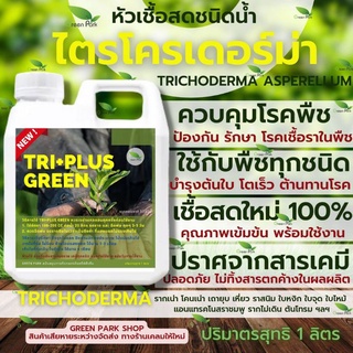 ภาพหน้าปกสินค้าไตรโคเดอร์มา เชื้อสด ชนิดน้ำ ขนาด 1 ลิตร กำจัดโรค เชื้อรา ราก โคนเน่า ใบหงิก ใบจุด ชีวภาพ ไม้ด่าง Trichoderma green park ที่เกี่ยวข้อง