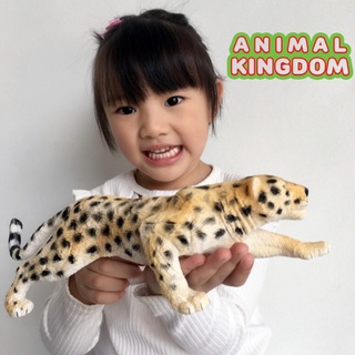 Animal Kingdom - โมเดลสัตว์ เสือดาว เสือชีตาห์ ขนาด 31.00 CM (จากหาดใหญ่)