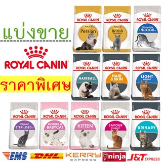 ภาพหน้าปกสินค้าพร้อมส่ง Royal Canin แบ่งขาย ครึ่งโล/1กิโล อาหารแมว โรยัล คานิน แม่แมว แมวเด็ก แมวโต สูงอายุ เฉพาะสายพันธุ์ ที่เกี่ยวข้อง