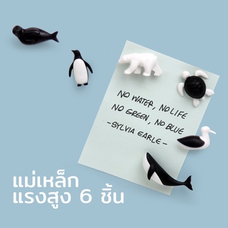 สินค้า Qualy Design  - Save The Ocean Magnet แม่เหล็กติดตู้เย็น ติดกระดาน แม่เหล็กแรงดูดสูงรุ่นแพนกวิน QL10311