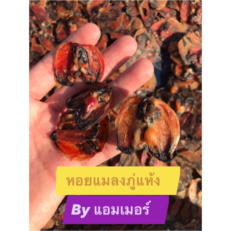 หอยแมลงภู่ตากแห้ง-1-กิโลกรัม-สด-สะอาด