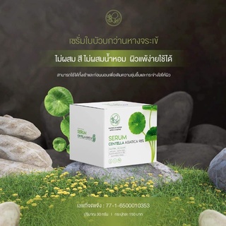 เซรั่ม ใบบัวบก พรทิน่า บาย พรทิพย์ Serum Centella Asiatica 98% ขนาด 30 กรัม 01112