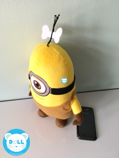 มินเนียน-minionsชุดคนป่า