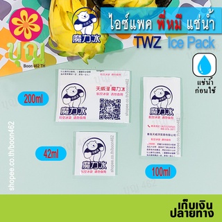 TWZ ไอซ์แพค พี่หมี แช่น้ำ ไม่เสียเวลาเติมน้ำ, ไอซ์เจล, เก็บความเย็น/ Ice Pack, Ice Gel, Cold Pack