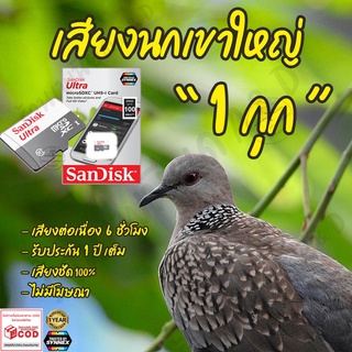 เสียงต่อ นกเขาใหญ่ 1กุก ยาว6ชั่วโมง ไม่มีโฆษณา เมมโมรี่เล็ก (Micro SD) มีเก็บเงินปลายทาง