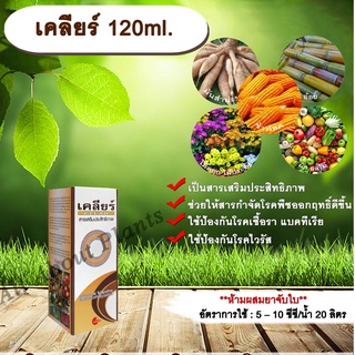 เคลียร์ 120ml. สารเสริมประสิทธิภาพ ช่วยให้สารกำจัดโรคพืชมีประสิทธิภาพมากขึ้น ป้องกันเชื้อรา แบคทีเรีย ไวรัส ขัดผิวผลผลิต